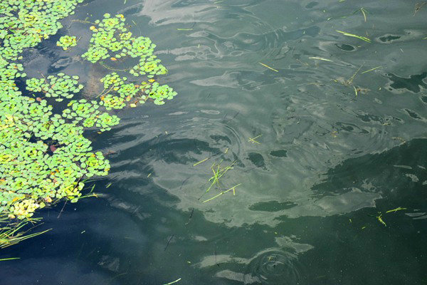 全面实行排污许可“一证式”管理