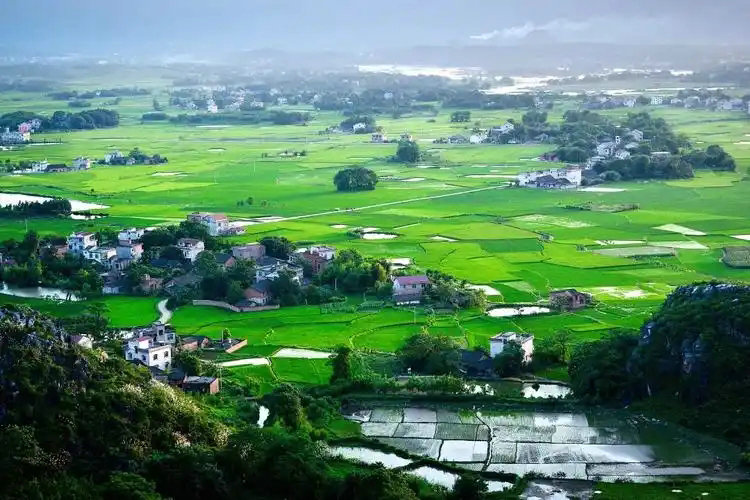 政府工作报告出炉，2025年生态环保工作这么干！