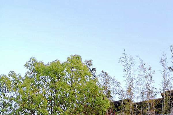 废气治理＋绿色运输！安徽省第三生态环境保护督察组调研阜阳空气质量提升攻坚 