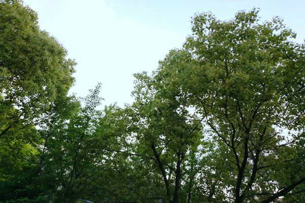 “统筹治理+精准监管” 汽开区打响臭氧污染防控战