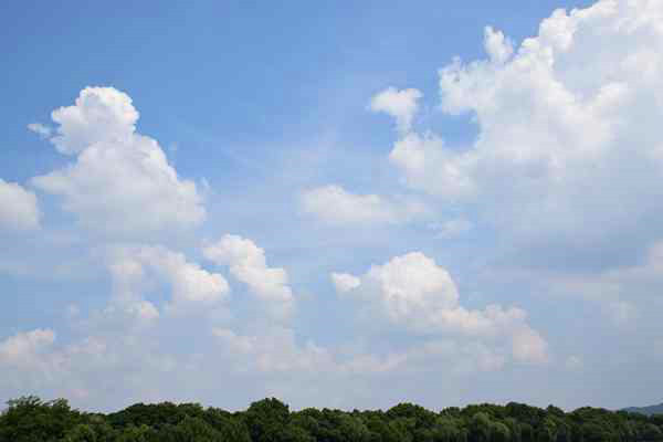 河西区生态环境局打响“臭氧阻击战” 