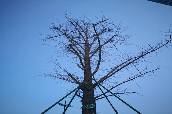 提“气”质丨打造2.0版本，实现“大数据”精准治污