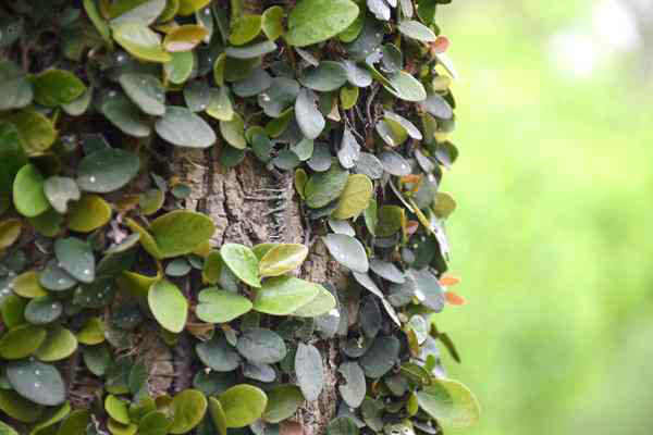 全国已建成“两级、三类、一清单”的生态环境分区管控体系 