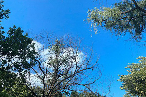 筑牢“真准全”数据基石，数智赋能打赢蓝天保卫战 