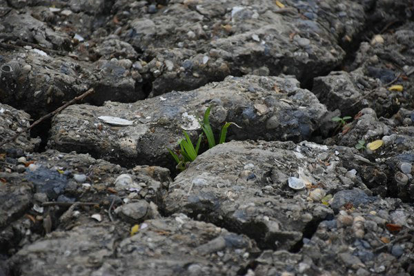 和田地区全域开展危废规范化评估 守护生态环境安全