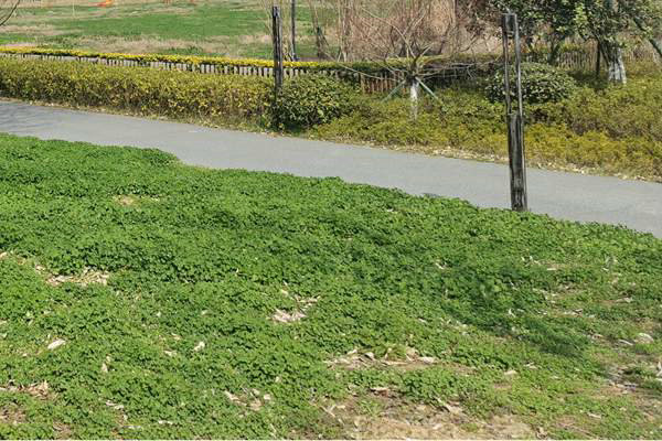 筑牢质量“安全线”！珠海市生态环境局等四部门加强建设用地土壤环境联动监管服务