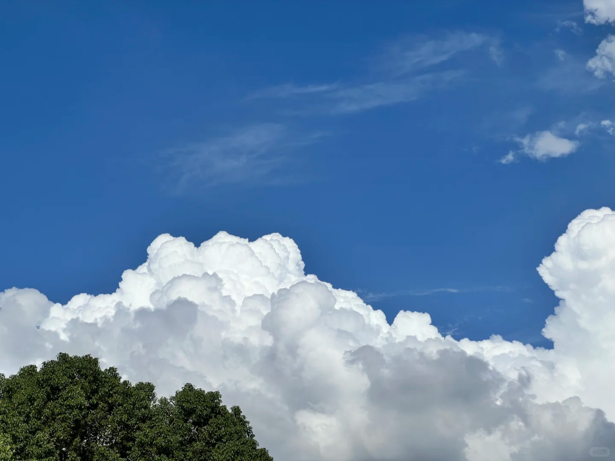 广州蓝，8微克闪耀全运！从化绿，6微克奠定基石！