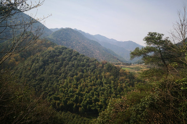 甘肃“五棋联动”筑牢西部生态屏障，PM2.5平均浓度连续两年同比下降