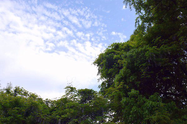 生态环境部部长黄润秋出席甲烷与其他非二氧化碳温室气体峰会并会见外方高级代表