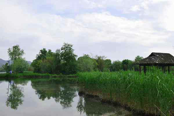 滁州市明光市全方位提升生态环境治理水平