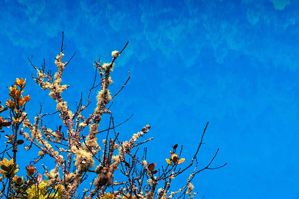 生态环境部部长黄润秋出席COP30“中国角”系列边会活动并会见外方高级代表