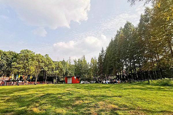 陕西：绿色转型的“加减乘除”法