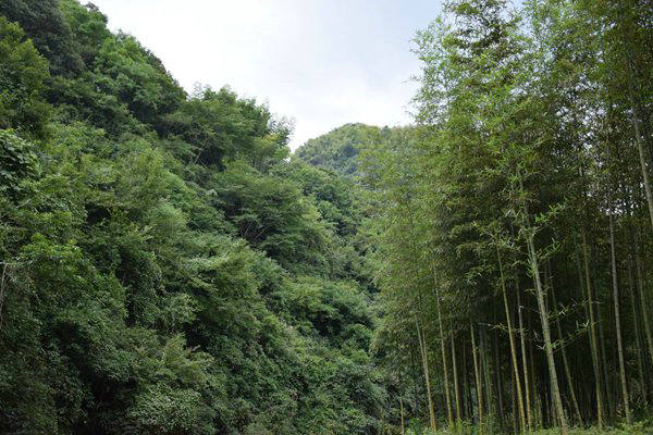 衡水市绘就“蓝天碧水净土”新画卷