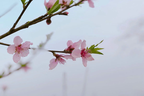 助企精准治污降本增效，苏州首个“炭管家”智慧平台全面推广