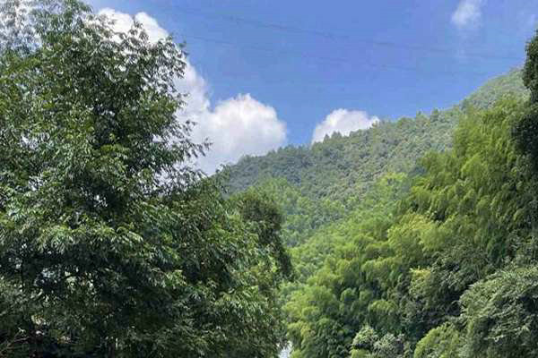 宁夏“十五五”规划建议出炉 加快经济社会发展全面绿色转型