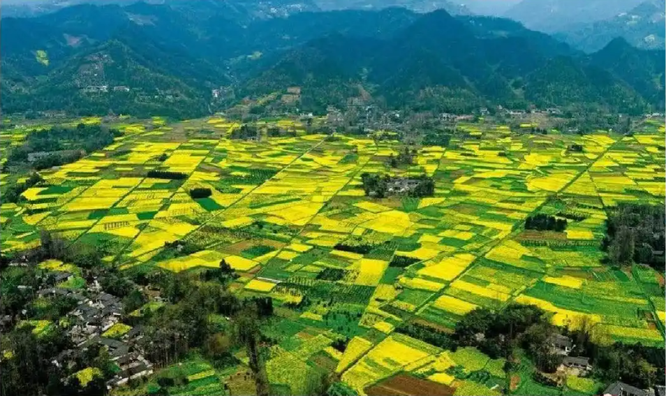 让美丽四川颜值更高、实力更强！示范创建将从三方面发力