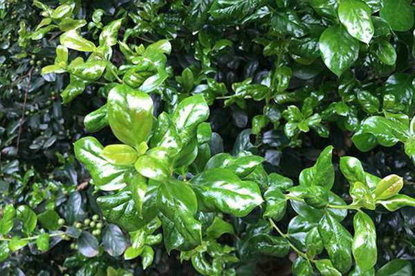 宣城市“十四五”治污攻坚重大工程建设成效亮眼