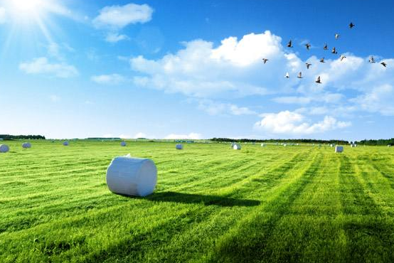 深圳市龙城街道全面消除黑臭水体 重现辖区河畅水清