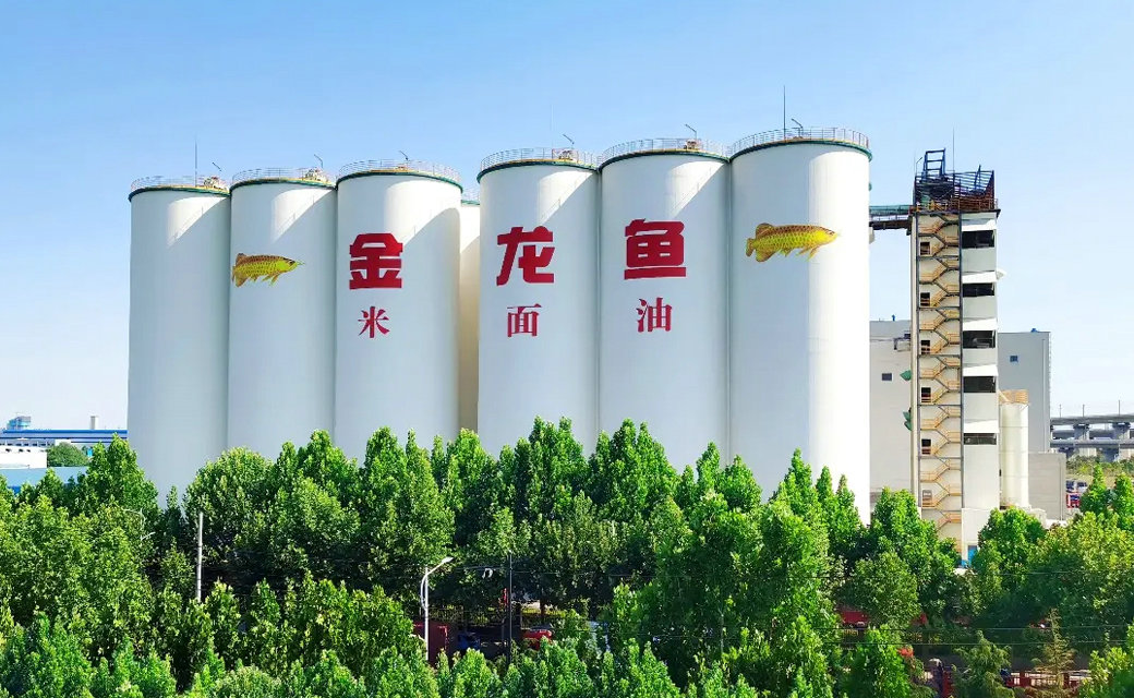 金龙鱼